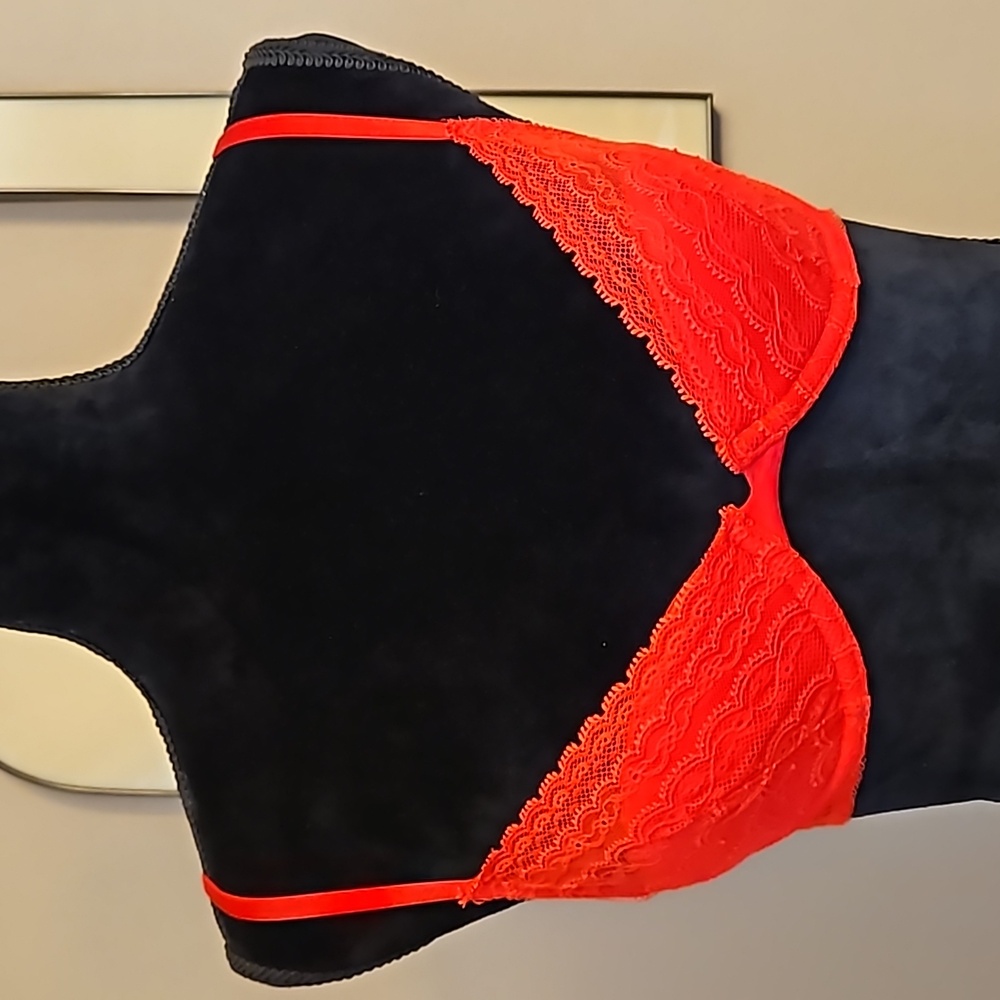 GapBody Lace Bra